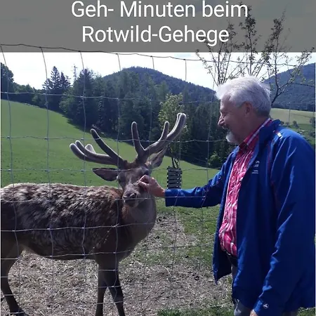 Schloffer 아파트 *