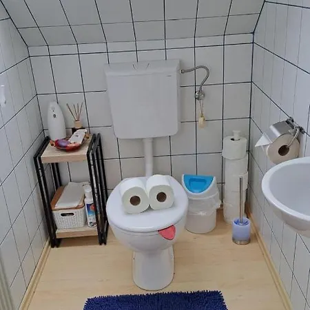 Schloffer 바이츠