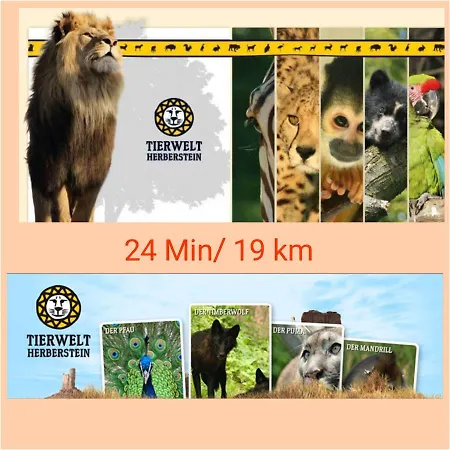 Schloffer דירה וייץ