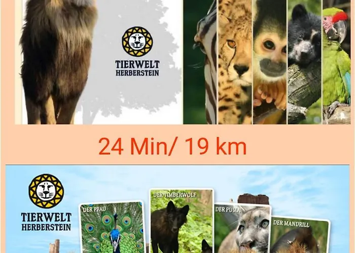 Schloffer Апартаменты Вайц